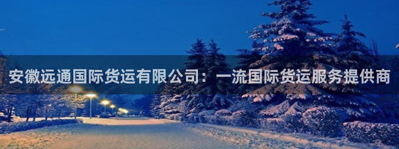 安徽远通国际货运有限公司：一流国际货运服务提供商