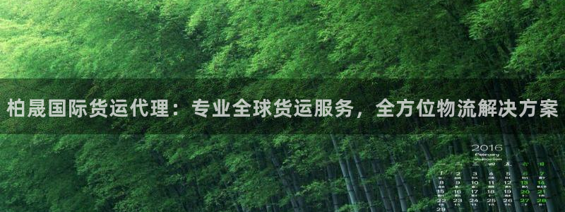 尊龙凯时是直营吗：柏晟国际货运代理：专业全球货运服务，全