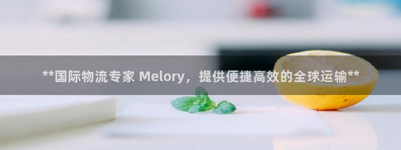 尊龙官网下载：**国际物流专家 Melory，提供便捷高