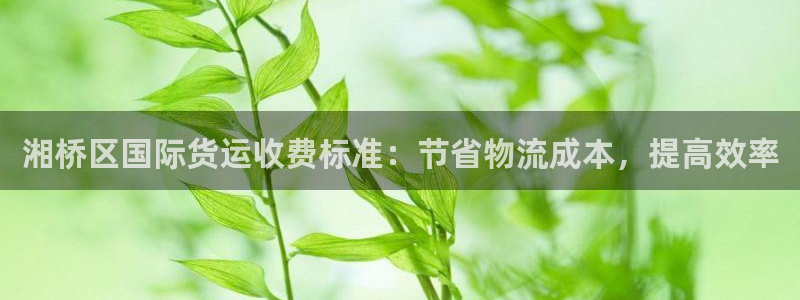 z6com尊龙凯时：湘桥区国际货运收费标准：节省物流成本