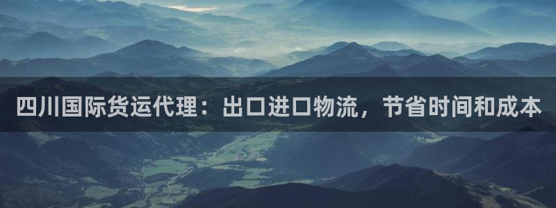 尊龙人品怎么样：四川国际货运代理：出口进口物流，节省时间