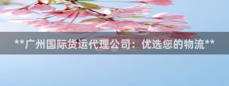 尊龙物流官网：**广州国际货运代理公司：优选您的物流**